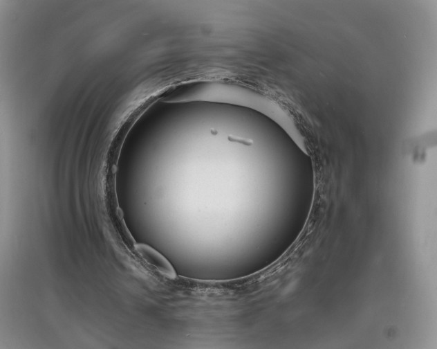 X0000097620242200803071516