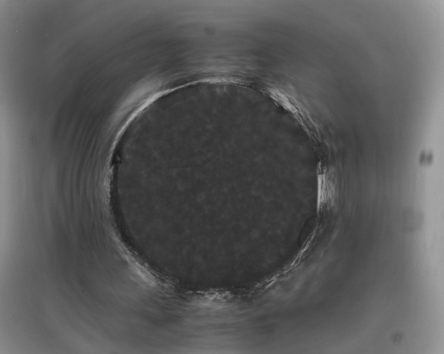 X0000097620243200803071516
