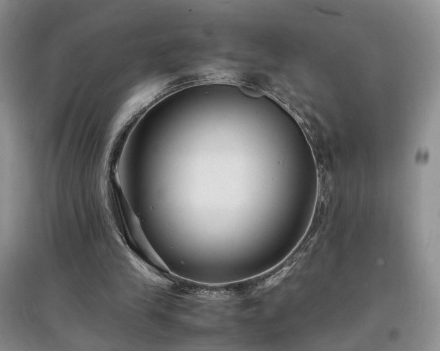 X0000097620245200803071516