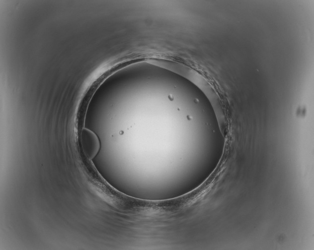 X0000097620246200803071516