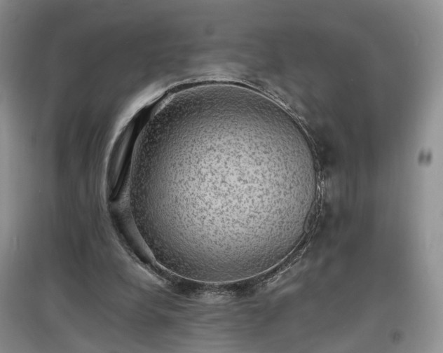 X0000097620248200803071516