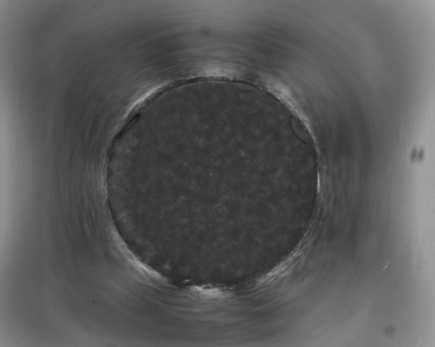 X0000097620249200803071516