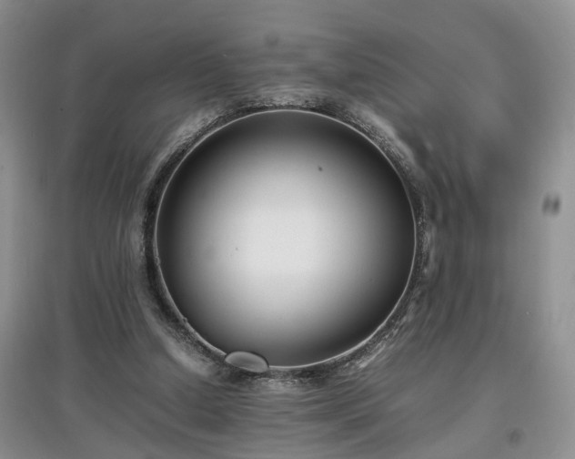 X0000097620250200803071516