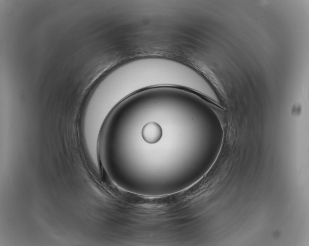 X0000097620251200803071516