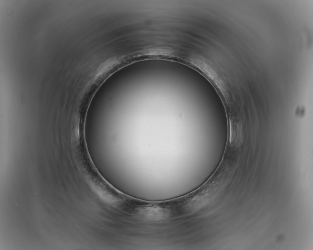 X0000097620253200803071516