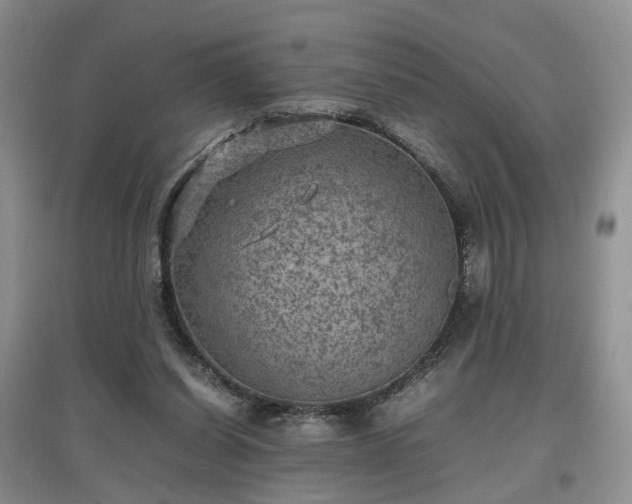 X0000097620254200803071516