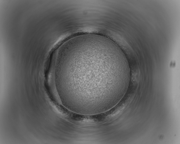 X0000097620256200803071516