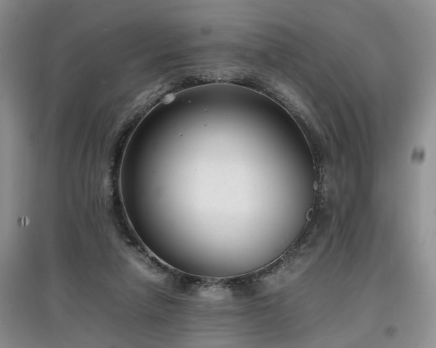 X0000097620258200803071516