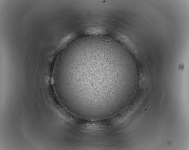X0000097620259200803071516