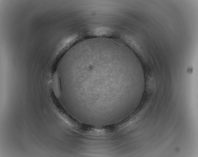 X0000097620260200803071516