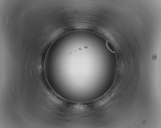 X0000097620261200803071516