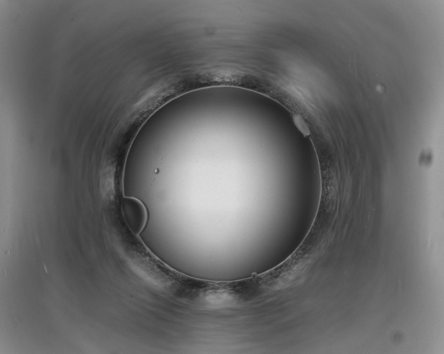 X0000097620262200803071516