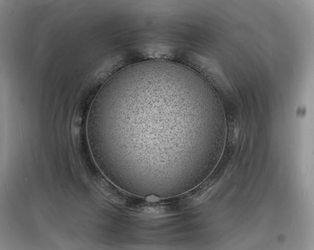 X0000097620263200803071516