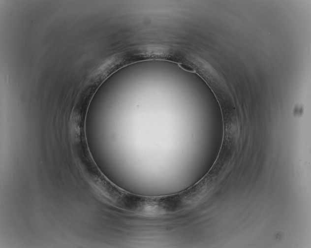 X0000097620264200803071516