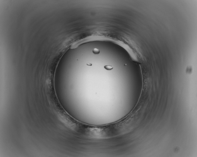 X0000097620265200803071516