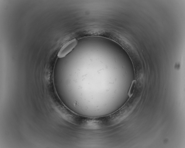 X0000097620268200803071516