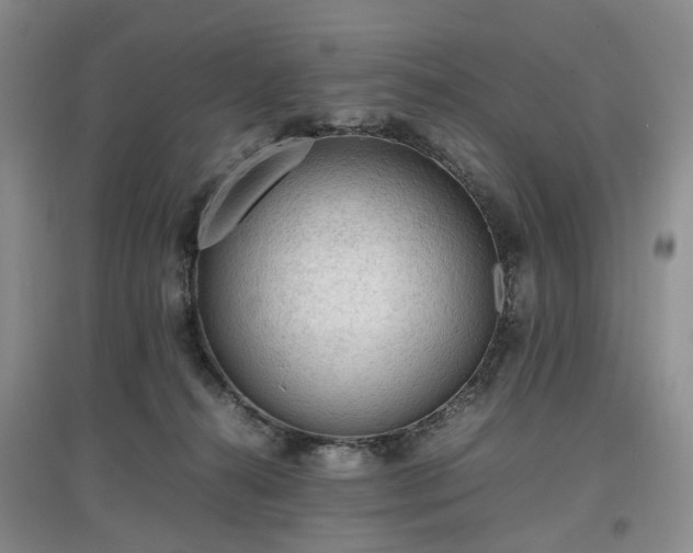 X0000097620272200803071516