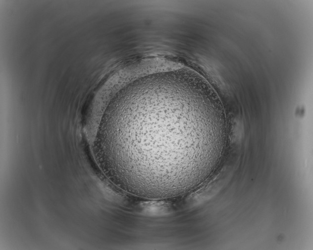 X0000097620273200803071516