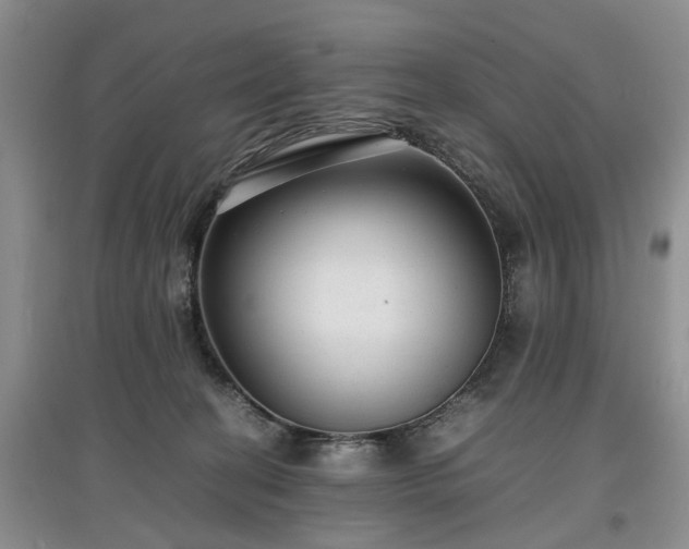X0000097620274200803071516