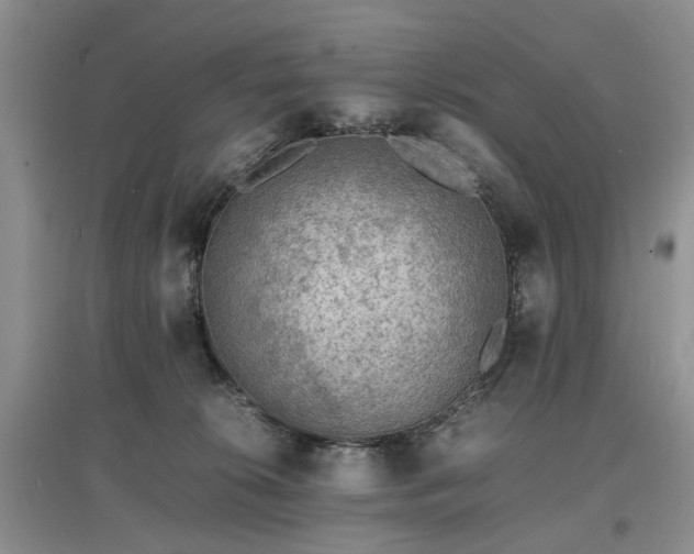 X0000097620276200803071516