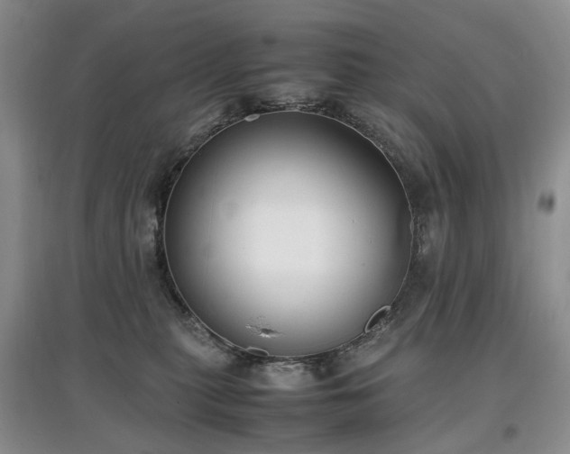 X0000097620279200803071516