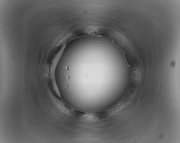 X0000097620280200803071516