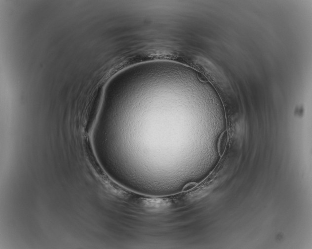 X0000097620281200803071516