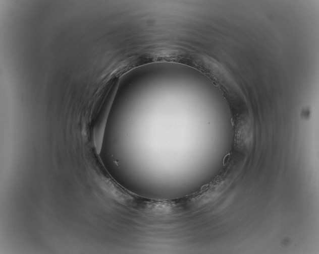 X0000097620282200803071516
