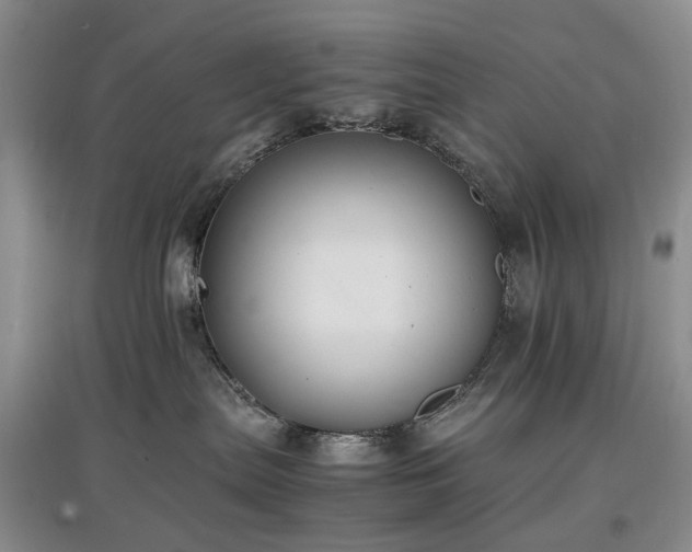 X0000097620287200803071516