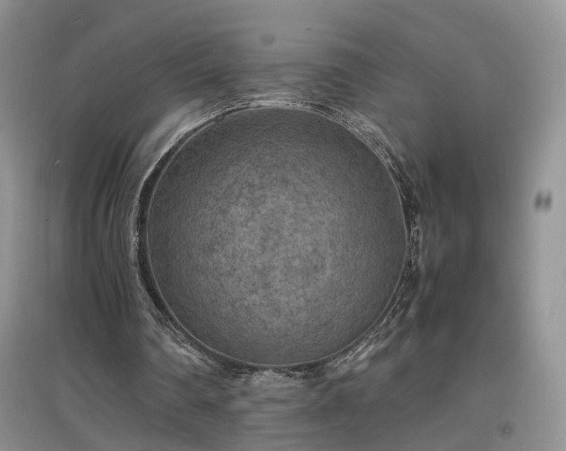 X0000097620290200803071516