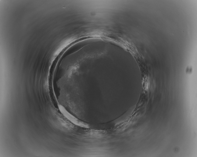 X0000097620292200803071516