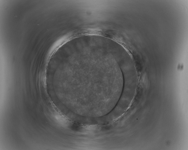 X0000097620293200803071516