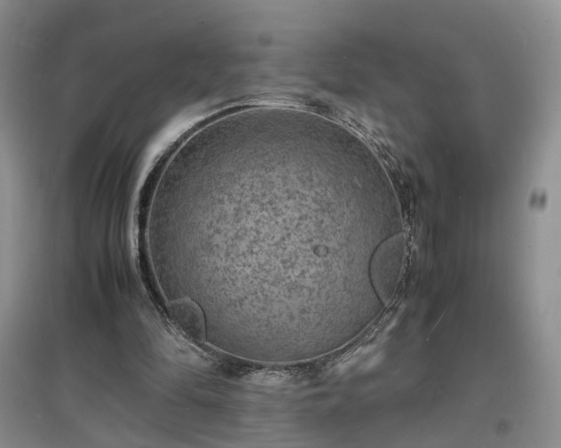 X0000097620294200803071516