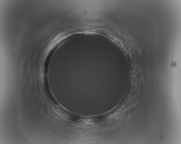 X0000097620295200803071516
