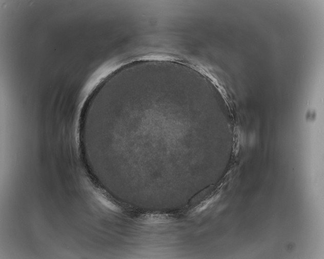 X0000097620296200803071516
