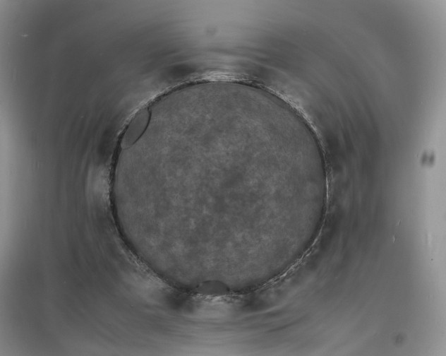 X0000097620297200803071516