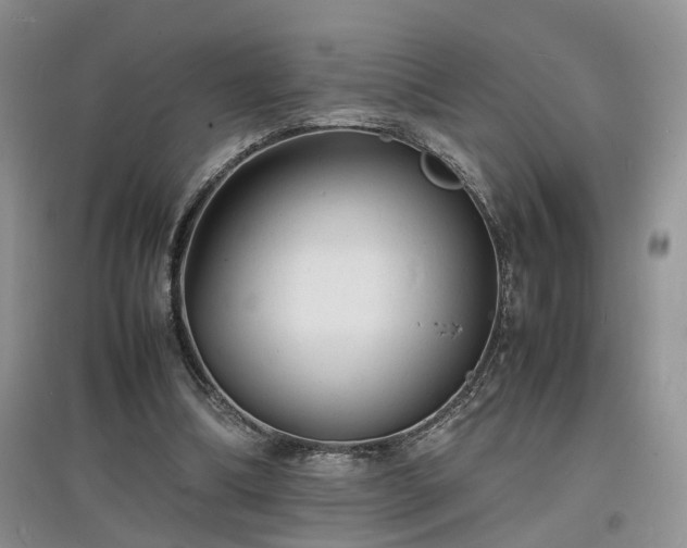 X0000097620298200803071516