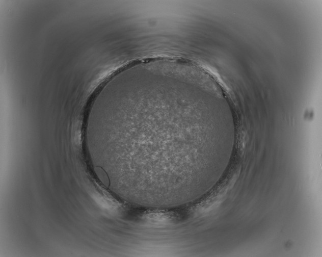 X0000097620299200803071516