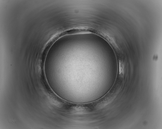 X0000097620300200803071516