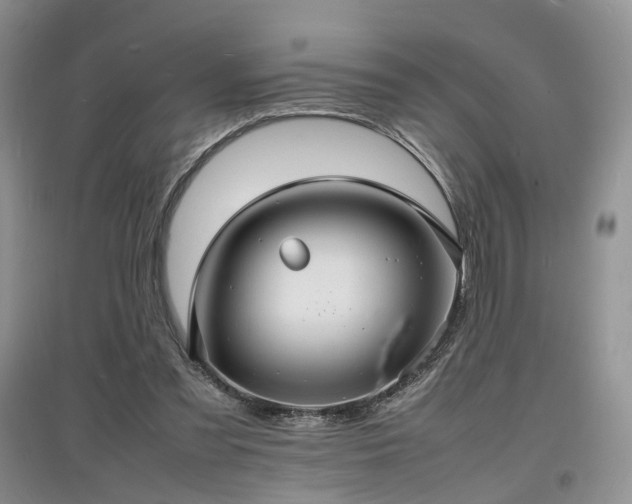 X0000097620301200803071516