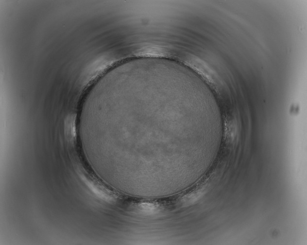 X0000097620302200803071516