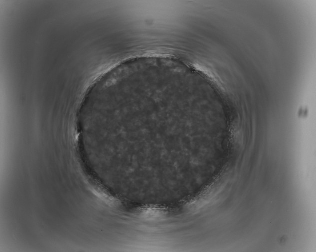 X0000097620303200803071516