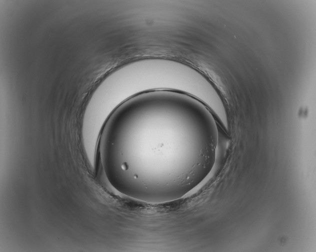 X0000097620305200803071516