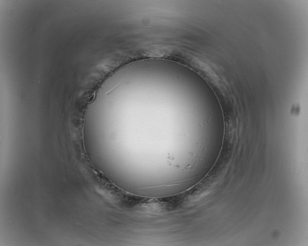 X0000097620307200803071516