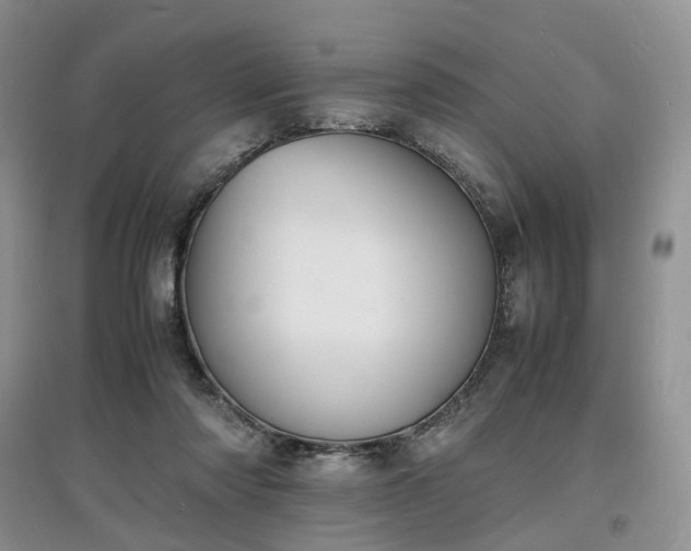 X0000097620310200803071516