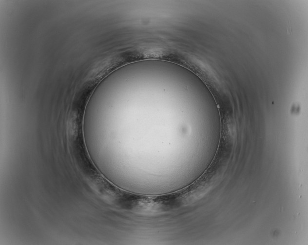 X0000097620311200803071516