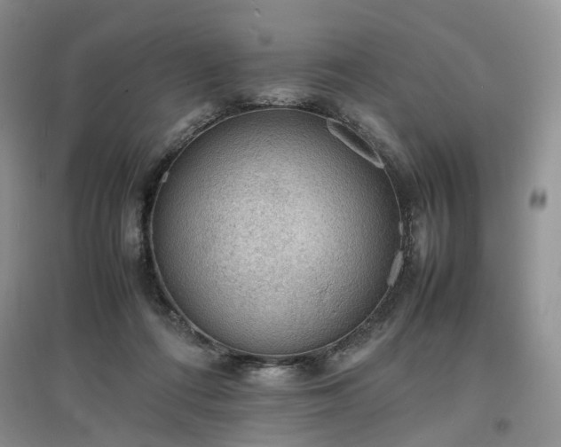 X0000097620312200803071516