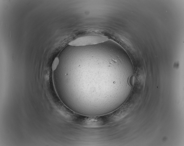 X0000097620315200803071516