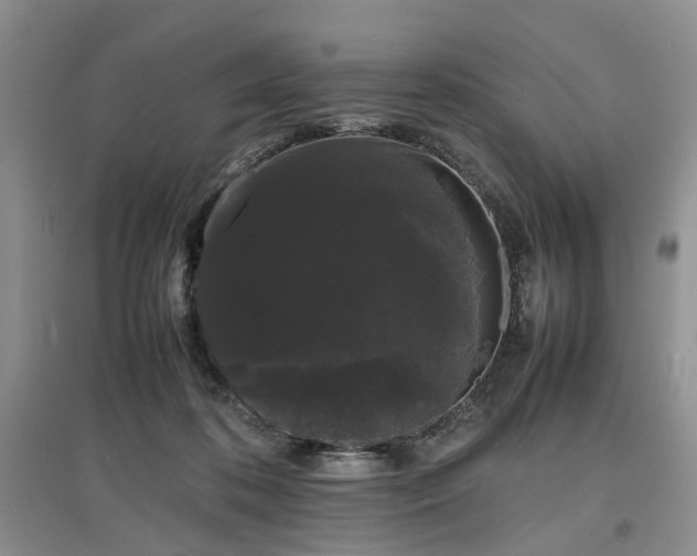 X0000097620316200803071516