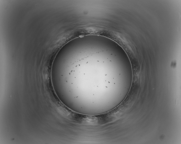 X0000097620317200803071516
